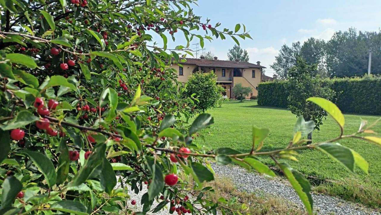 Il Chiassetto Agriturismo No Kids Villa Cascina Exterior foto